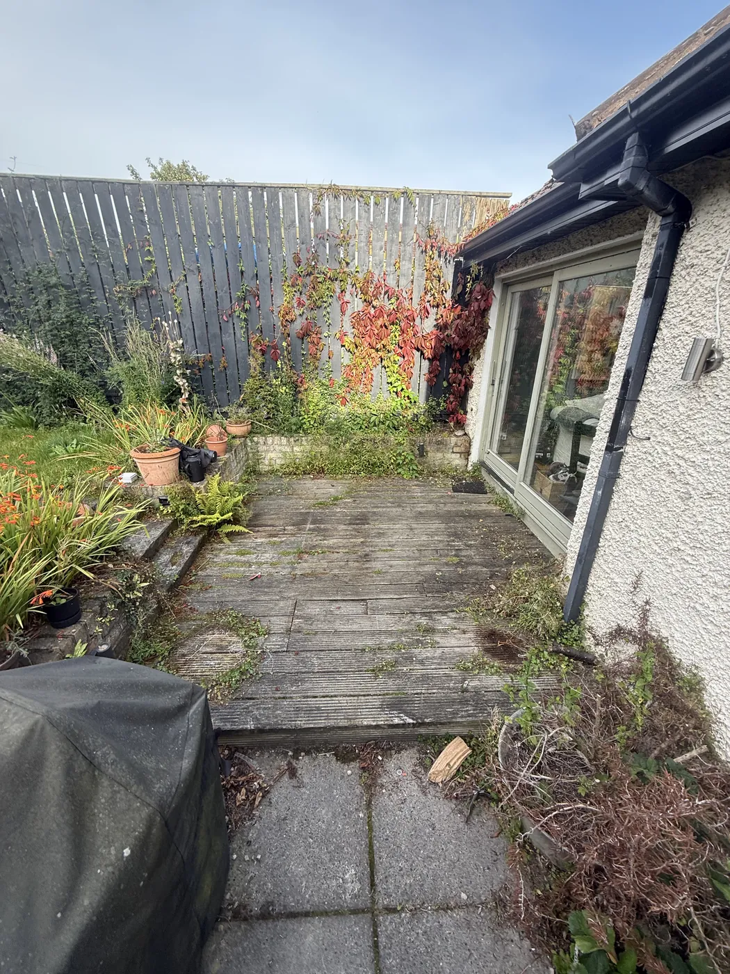Before patio project